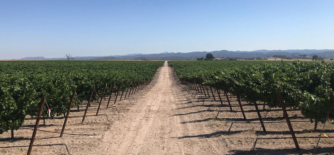 San Antonio Valley